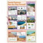 Wildgoose Coasts Poster